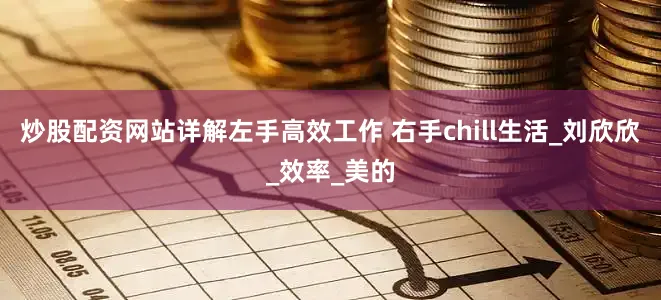 炒股配资网站详解左手高效工作 右手chill生活_刘欣欣_效率_美的