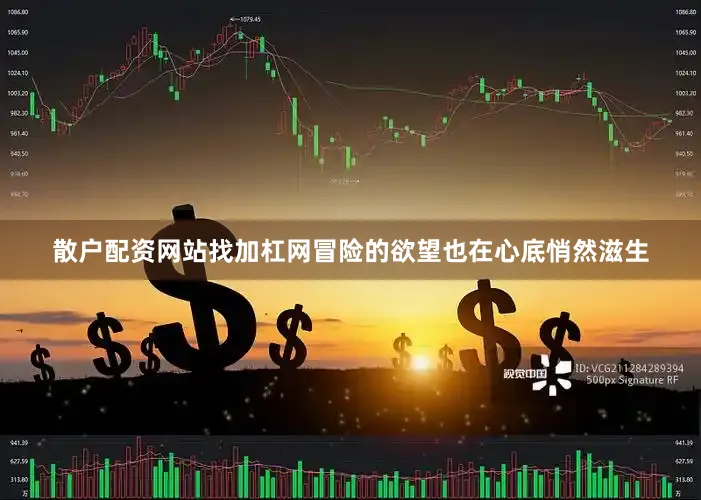 散户配资网站找加杠网冒险的欲望也在心底悄然滋生